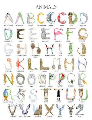 Animal Alphabet Letter Key by The Letter Nest