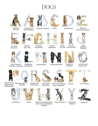 Letter Key for the Dog Alphabet by The Letter Nest