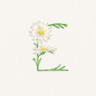 "E" for Erigeron Watercolor