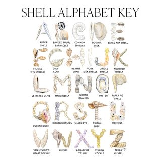 Illustrated and labeled Shell Alphabet Key identifying all letters of The Letter Nest's Shell Alphabet Print, from A for Auger Shell to Z for Zebra Mussel 
